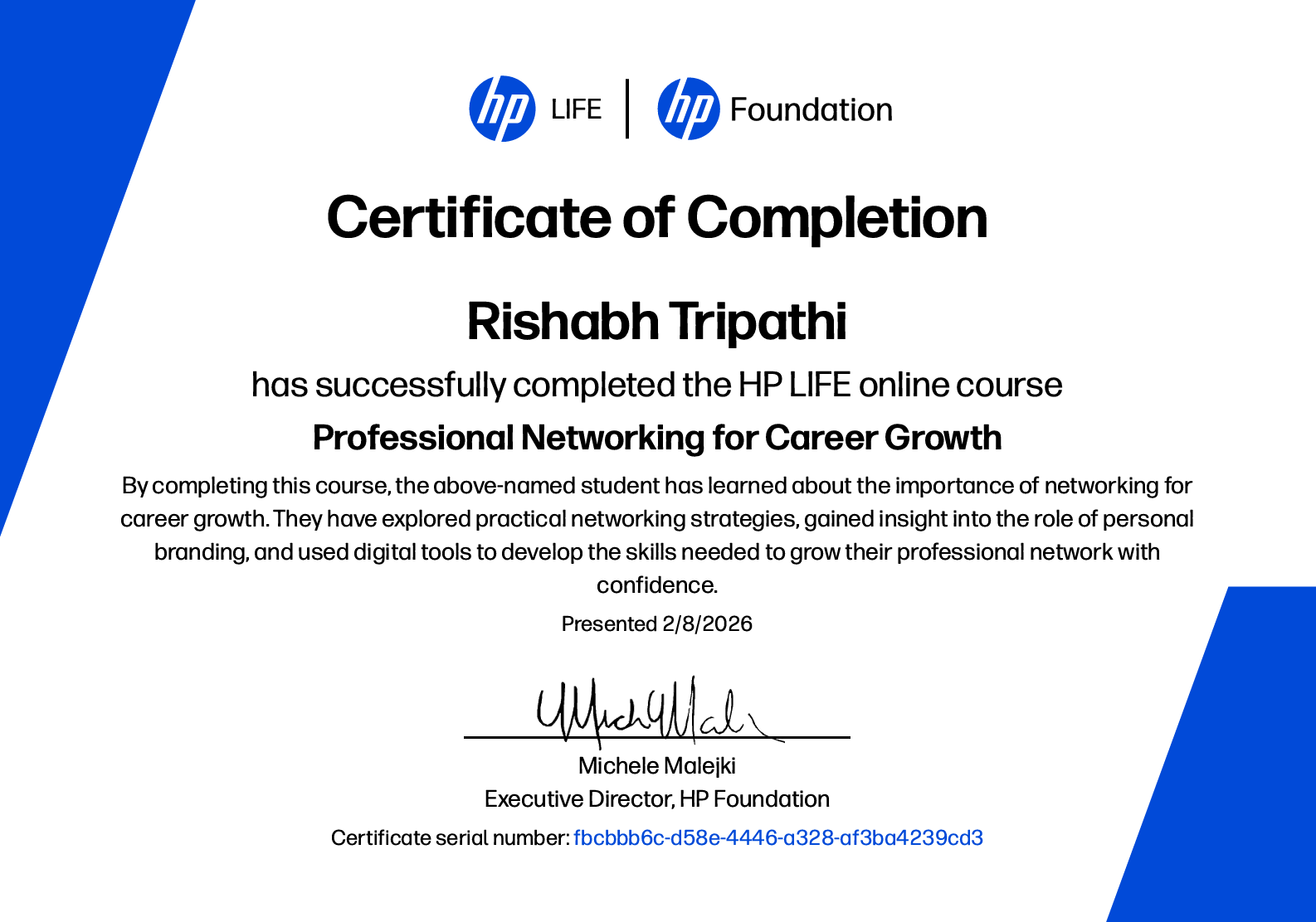 AI for Business Professionals certificate